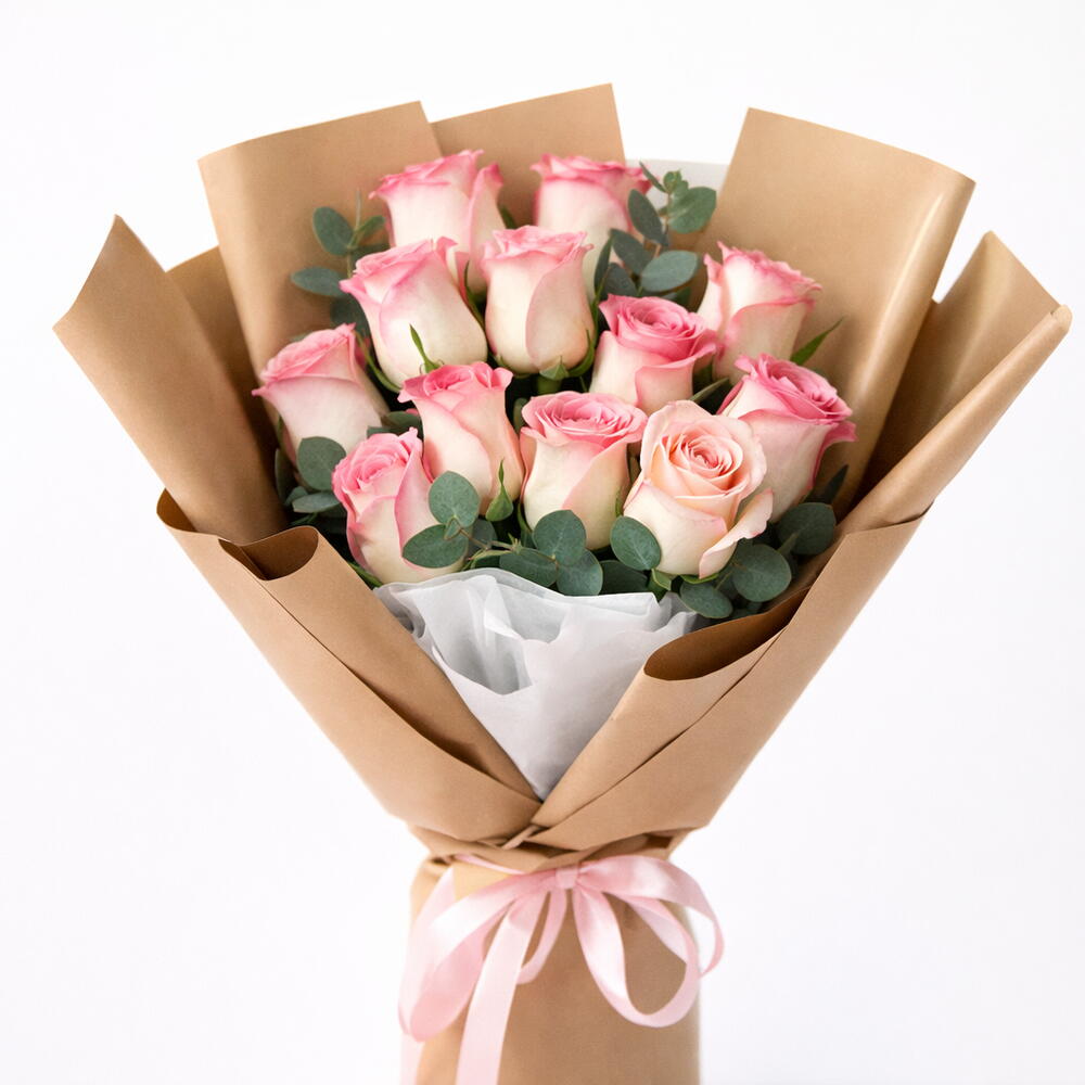 11 Pink Revival Roses – Sweet Whisper