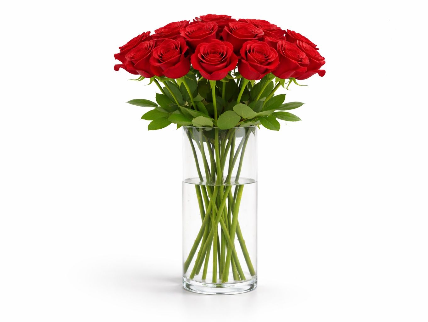 Romance Glass Vase