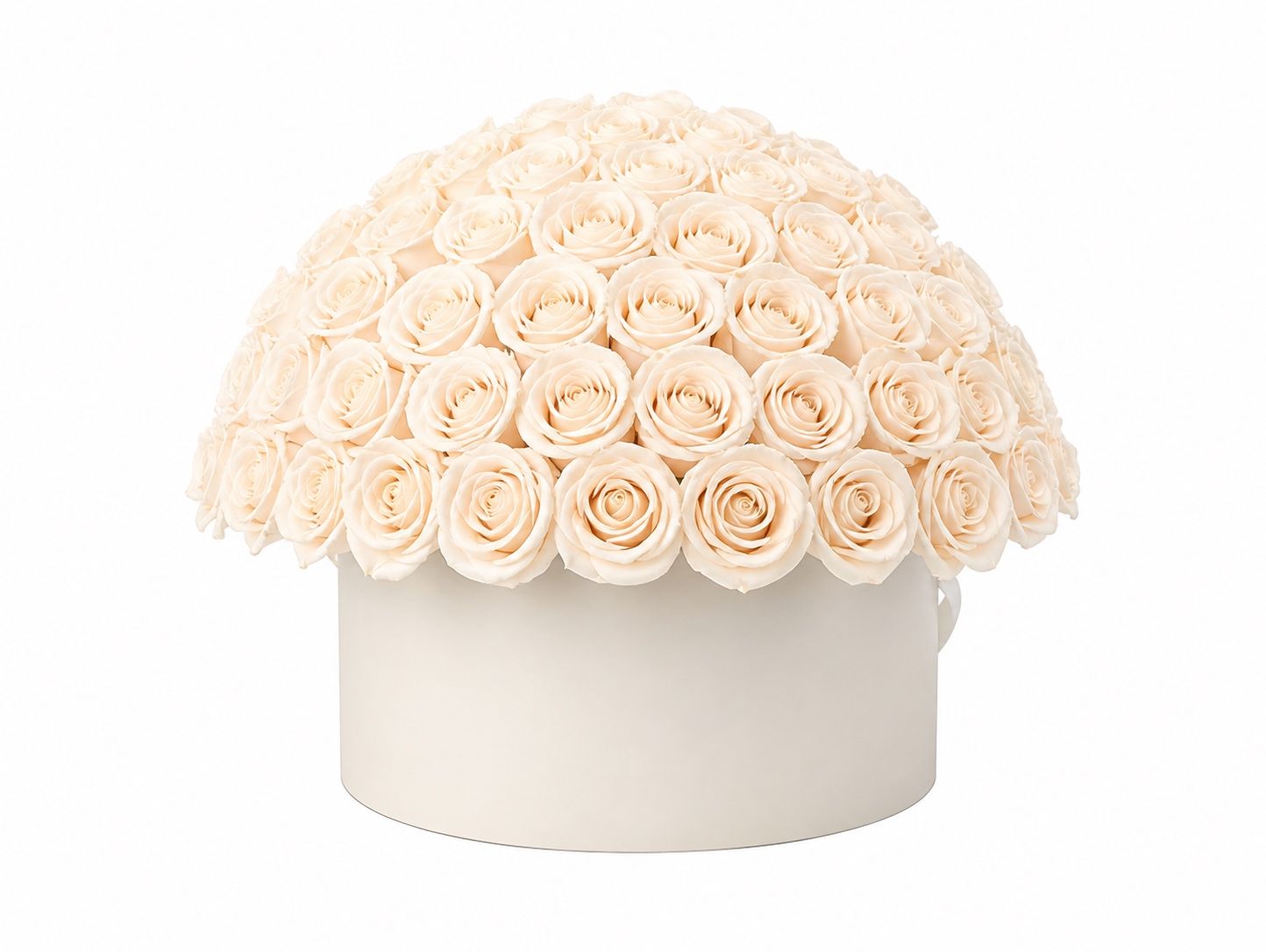 Luxury 100 White Roses Dome Box