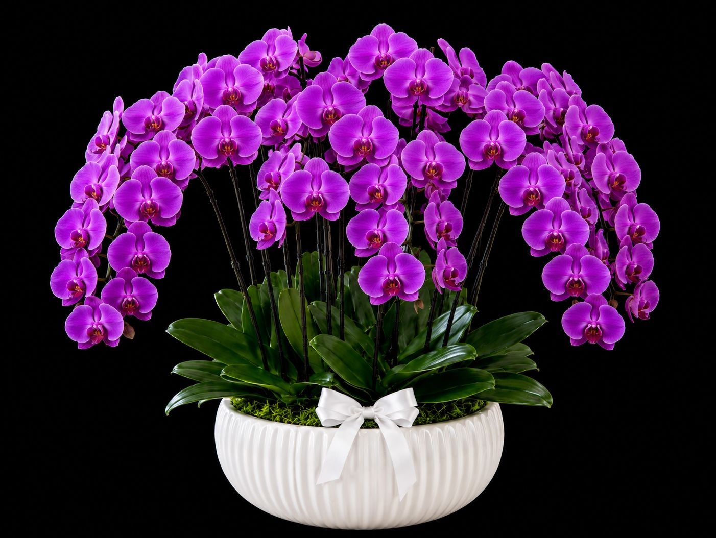 Royal Purple Mini Orchid Collection – 12 Stem