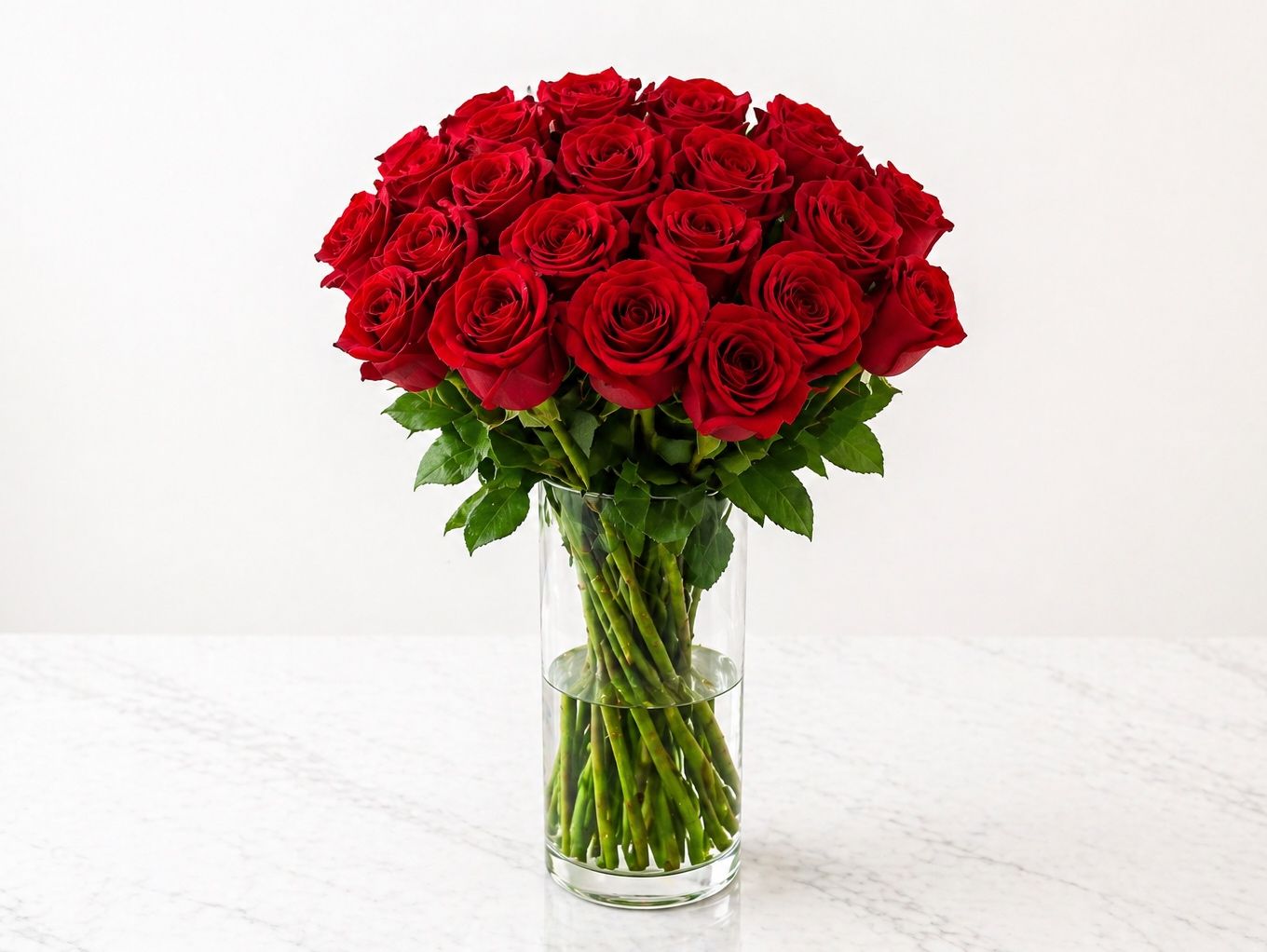 Classic 20 Red Roses Vase