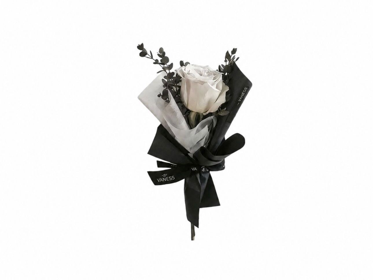 Single white rose