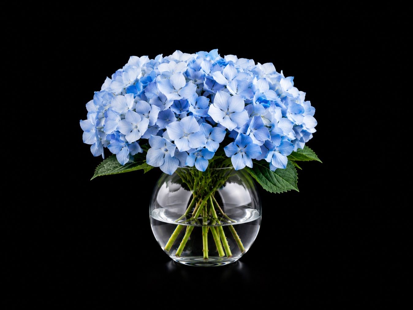 Luxury Hydrangea Centerpiece - Fresh Floral Fish Bowl Design