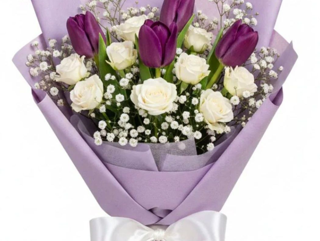 Purple and White Tulip