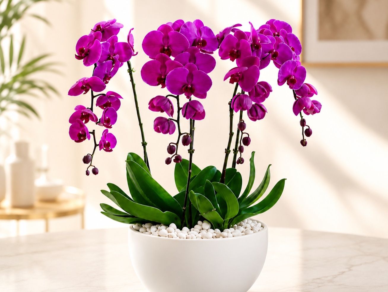 Royal Purple Orchid Elegance