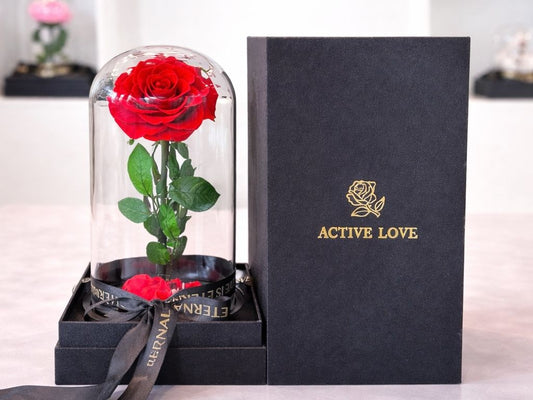 Royal Grande Eternity Rose