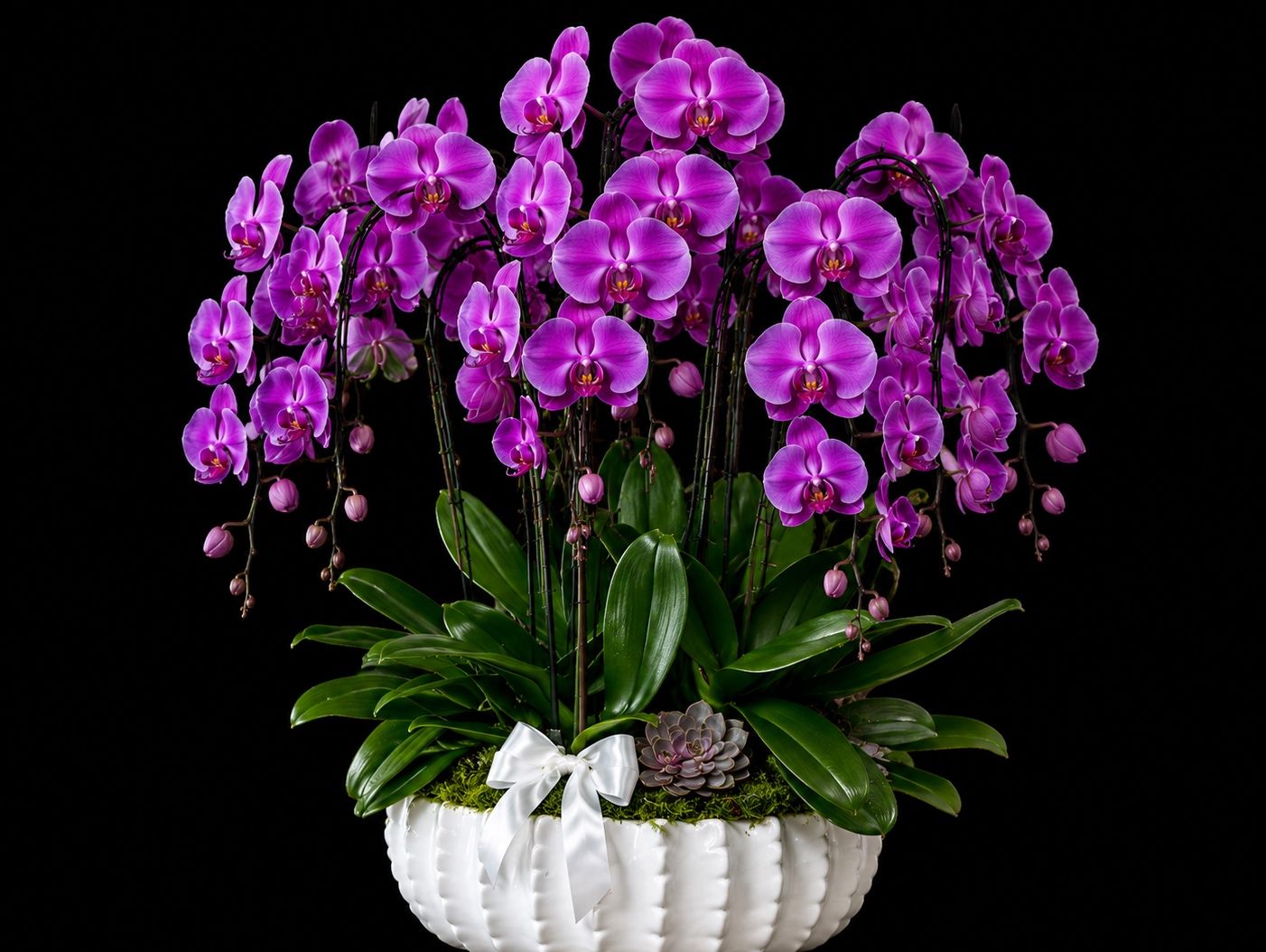 Royal Purple Orchid Elegance – 9 Stem