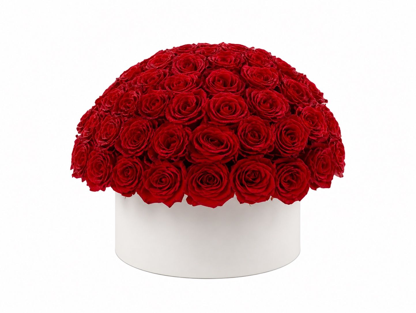 Luxury 100 Red Roses Dome Box