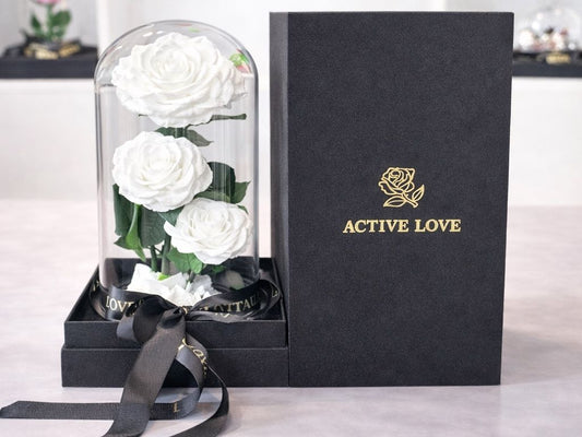 Ivory Trio Eternity Roses