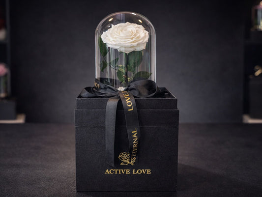 Pure Elegance Eternal Rose