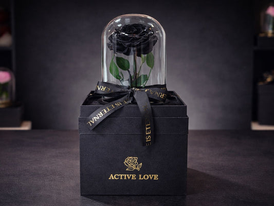 Midnight Luxury Eternal Rose