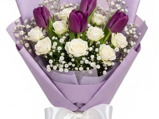 Purple and White Tulip